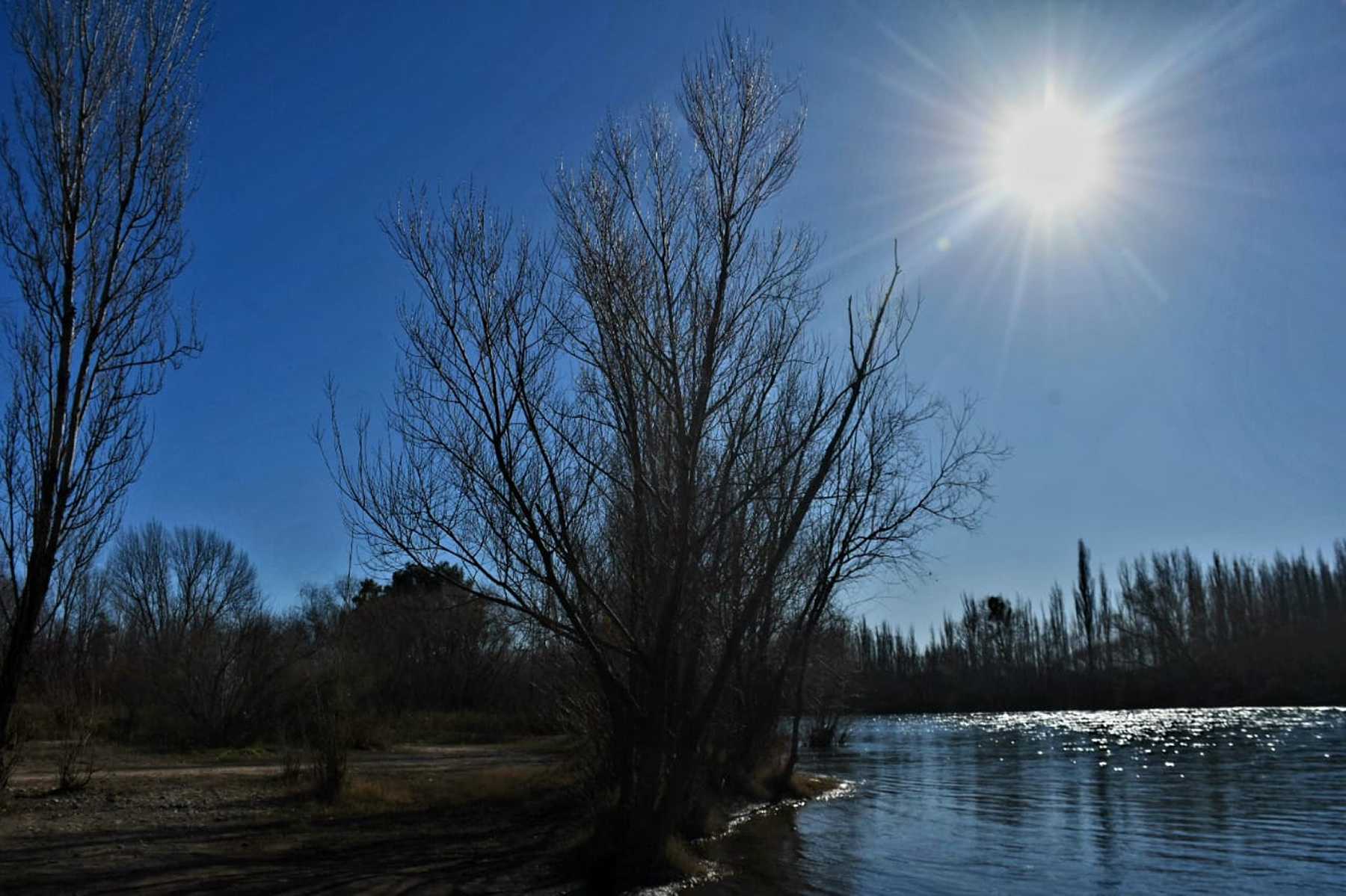 El río Neuquén a la altura del predio del club Independiente se inunda con la crecida regulada por las presas (foto Matias Subat)