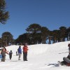 Imagen de Parques de nieve en Neuquén: Primeros Pinos revivió como destino y hay muchas opciones para disfrutar