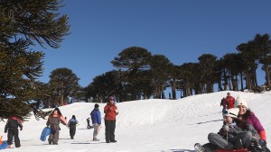 Parques de nieve en Neuquén: Primeros Pinos revivió como destino y hay muchas opciones para disfrutar