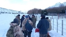 Imagen de Aislado por la nieve de la Patagonia, se negó a ser evacuado sin sus perros: «No puedo dejarlos»