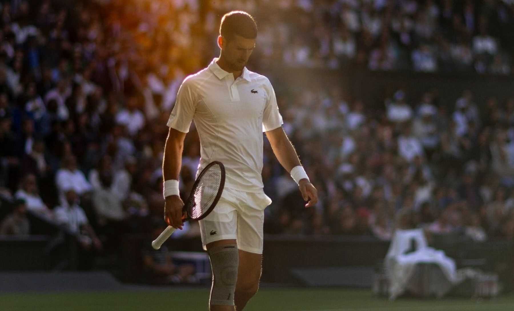 Novak Djokovic opinó sobre el futuro del tenis.