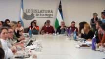 Imagen de RIGI en Río Negro: la adhesión, clave para la inversión de GNL, obtuvo dictamen en la Legislatura