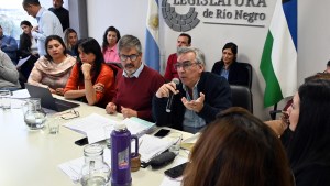 El gobierno de Río Negro impone su agenda de “urgencia” en la Legislatura