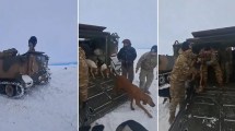 Imagen de Video: emocionante rescate del hombre que se negaba a abandonar sus perros en la nieve de la Patagonia