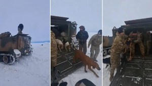 Video: emocionante rescate del hombre que se negaba a abandonar sus perros en la nieve de la Patagonia
