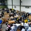 Imagen de Video | Registran desbordes en Correo Argentino por falta de personal: así están las oficinas en Neuquén