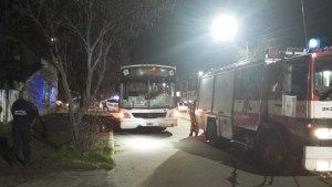 Video | Se incendió un colectivo urbano de Bariloche: generó caos, pero bomberos controlaron el fuego