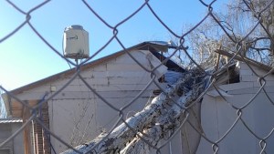 Alerta en Neuquén por fuertes vientos: varios árboles terminaron adentro de una casa