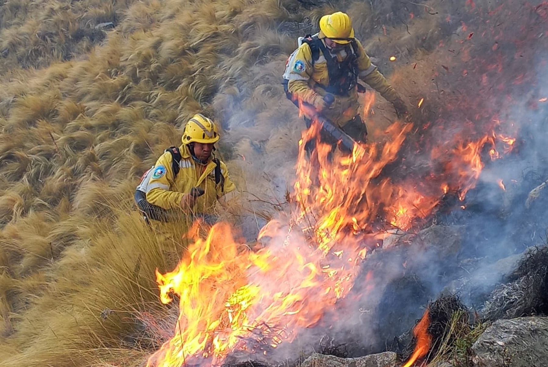 Bomberos combaten las llamas. Foto Gobierno de Córdoba