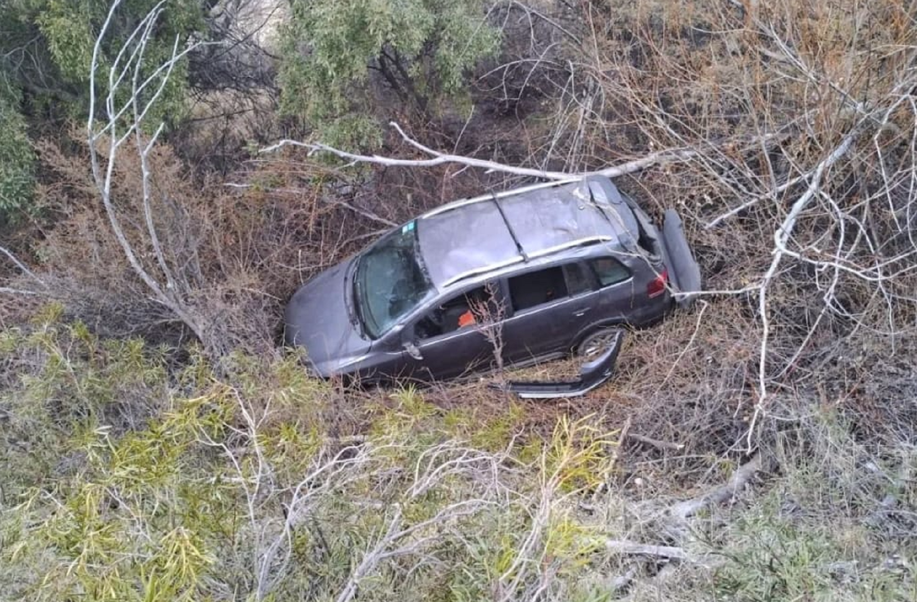 Impactante vuelco de dirigentes gastronómicos de Bariloche. Foto: gentileza