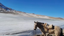 Imagen de Video: parece una pista de patín, pero es un lago congelado en el norte de Neuquén