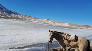 Video: parece una pista de patín, pero es un lago congelado en el norte de Neuquén