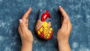 Trasplantes de órganos: cómo es la donación en asistolia