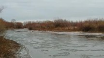 Imagen de Video | Las bajas temperaturas congelaron también el arroyo Picún Leufú en Paso Aguerre