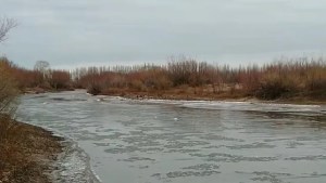 Video | Las bajas temperaturas congelaron también el arroyo Picún Leufú en Paso Aguerre