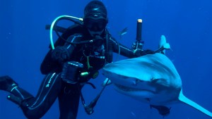 El increíble mundo debajo del mar en los ojos de Luciana: de Neuquén a Miami a vivir del buceo