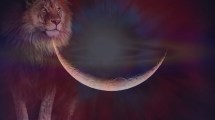 Imagen de Llega la Luna Nueva en Leo en agosto 2024 y así impactará su energía: qué podemos sentir