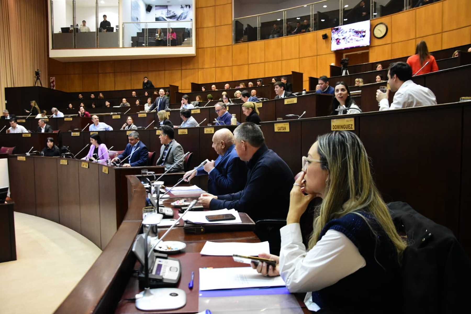 La Legislatura de Neuquén sesionó el lunes. Foto: Cecilia Maletti.