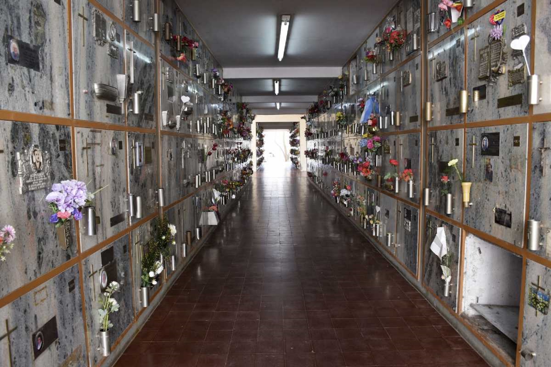 Un paseo por el cementerio de Neuquén. Foto: Matías Subat 