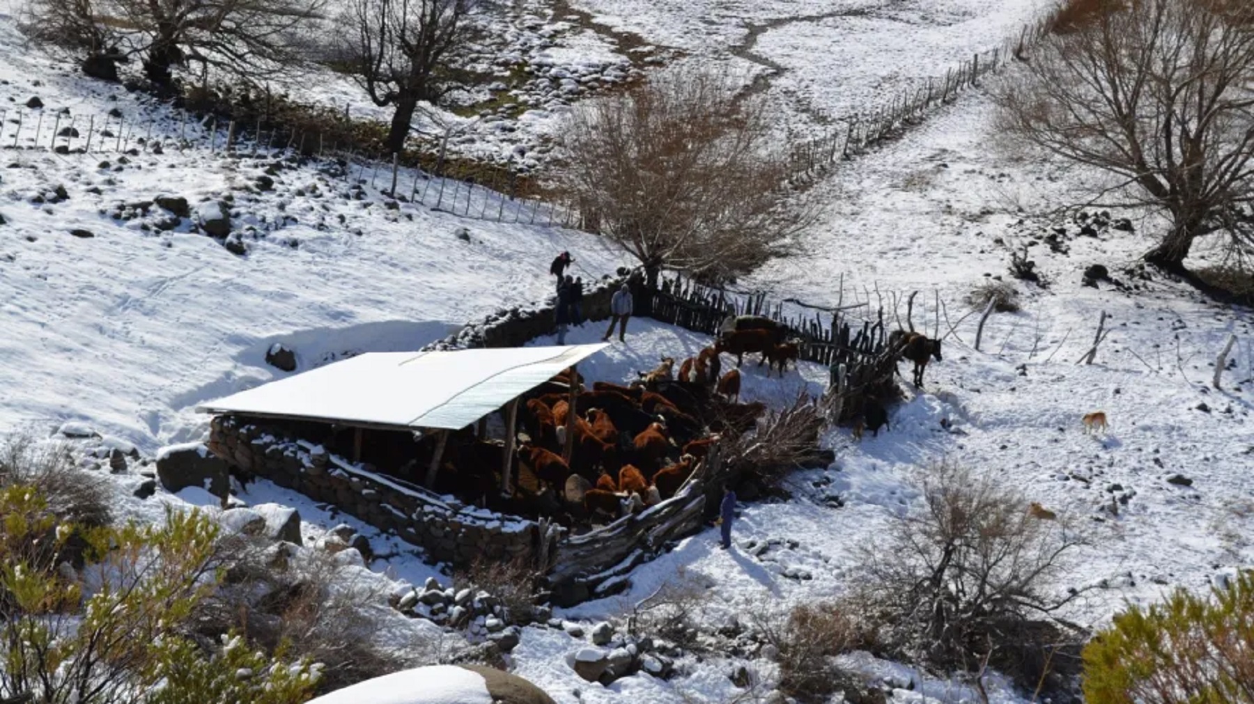 Ola polar en la Patagonia. 