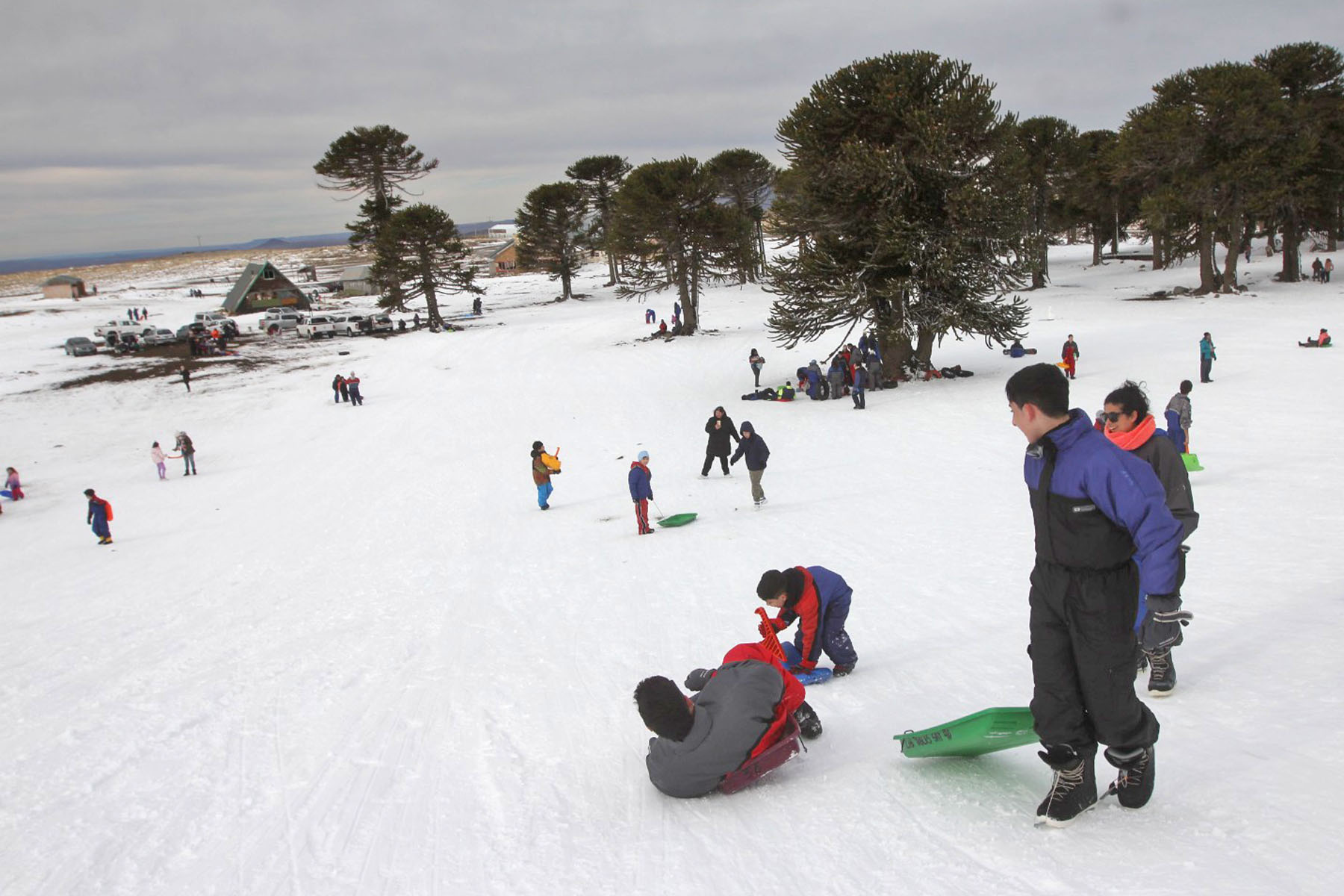 Primeros Pinos, una gran alternativa cercana al Alto Valle para divertirse en la nieve. 