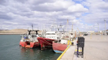 Imagen de Conmoción en Santa Cruz: murió un hombre tras ser aplastado por la tapa de un barco en Caleta Olivia