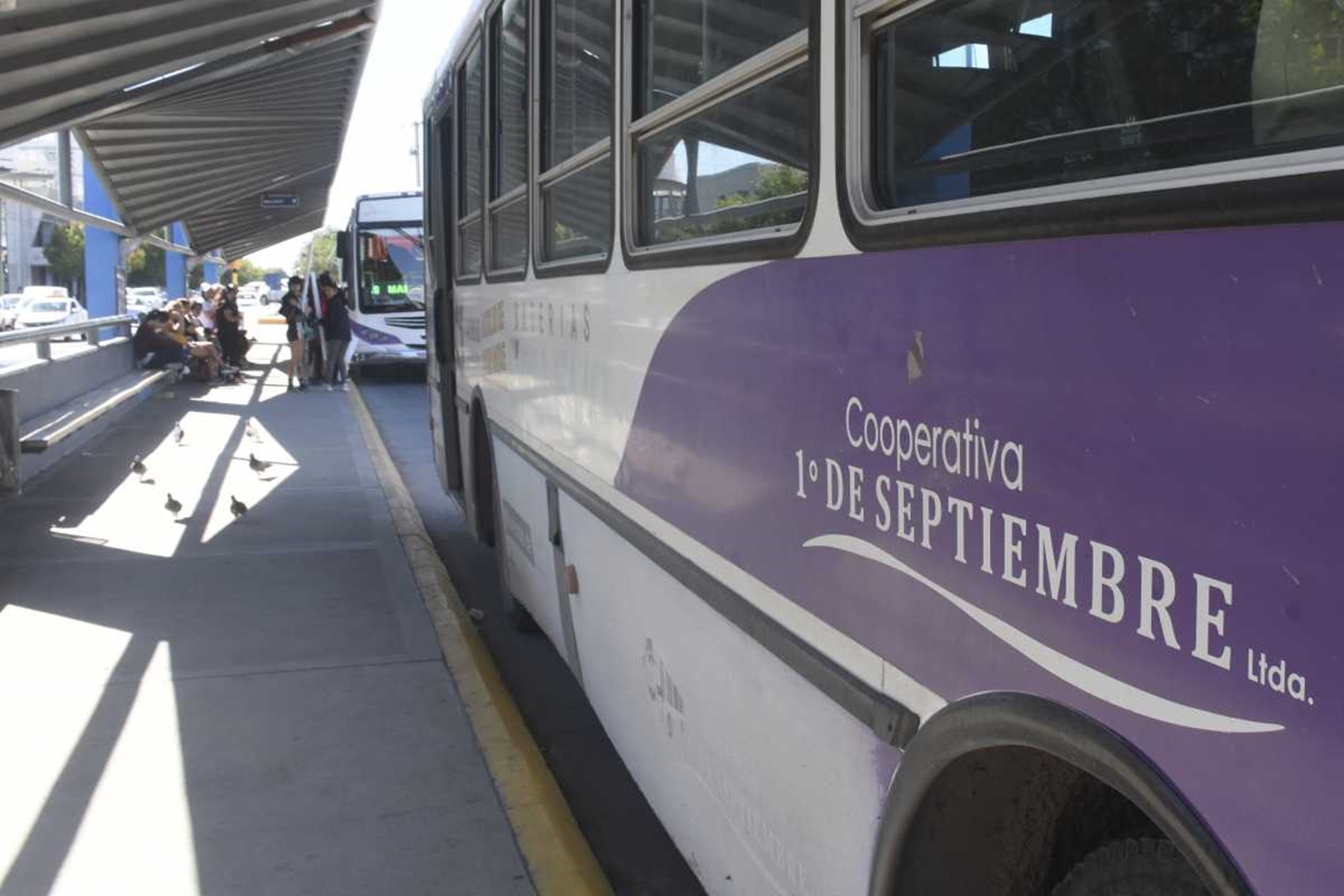 Los servicios de colectivos urbano ajustarán sus horarios para adaptarse a las vacaciones invernales. Foto: archivo Alejandro Carnevale.