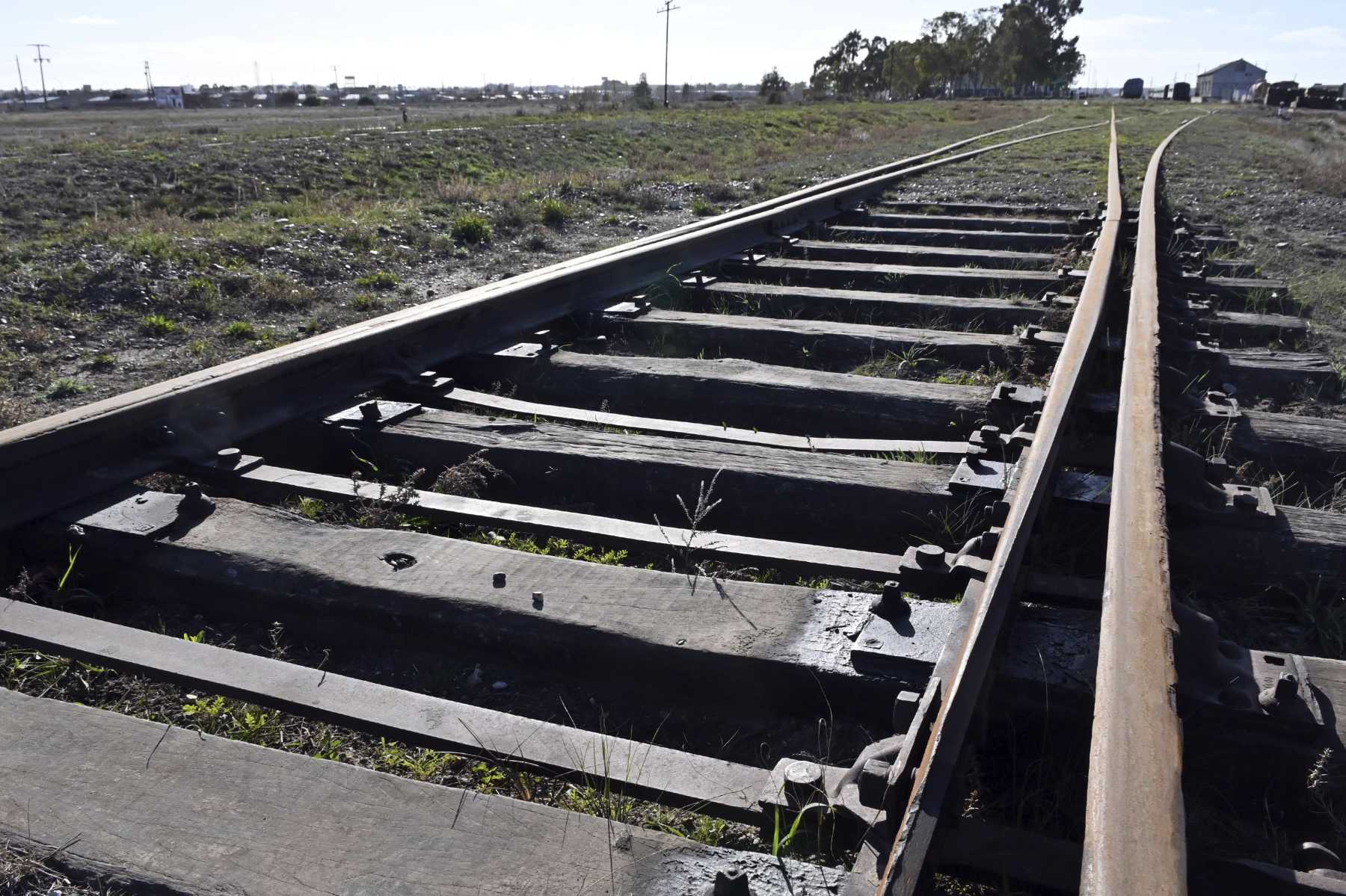 Los 120 kilómetros de vías desde Chichinales y Cipolletti necesitan mejoras para que el tren de pasajeros vuelva a rodar en el Alto Valle de Río Negro. 
Foto: Marcelo Ochoa