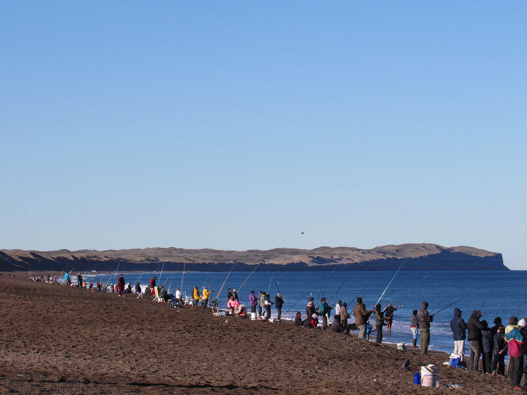 Bahía Rosas, un lugar clave. Naturaleza y bueno piques