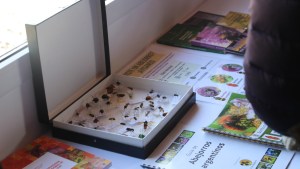 National Geographic permitió montar un laboratorio para criar abejas en Bariloche