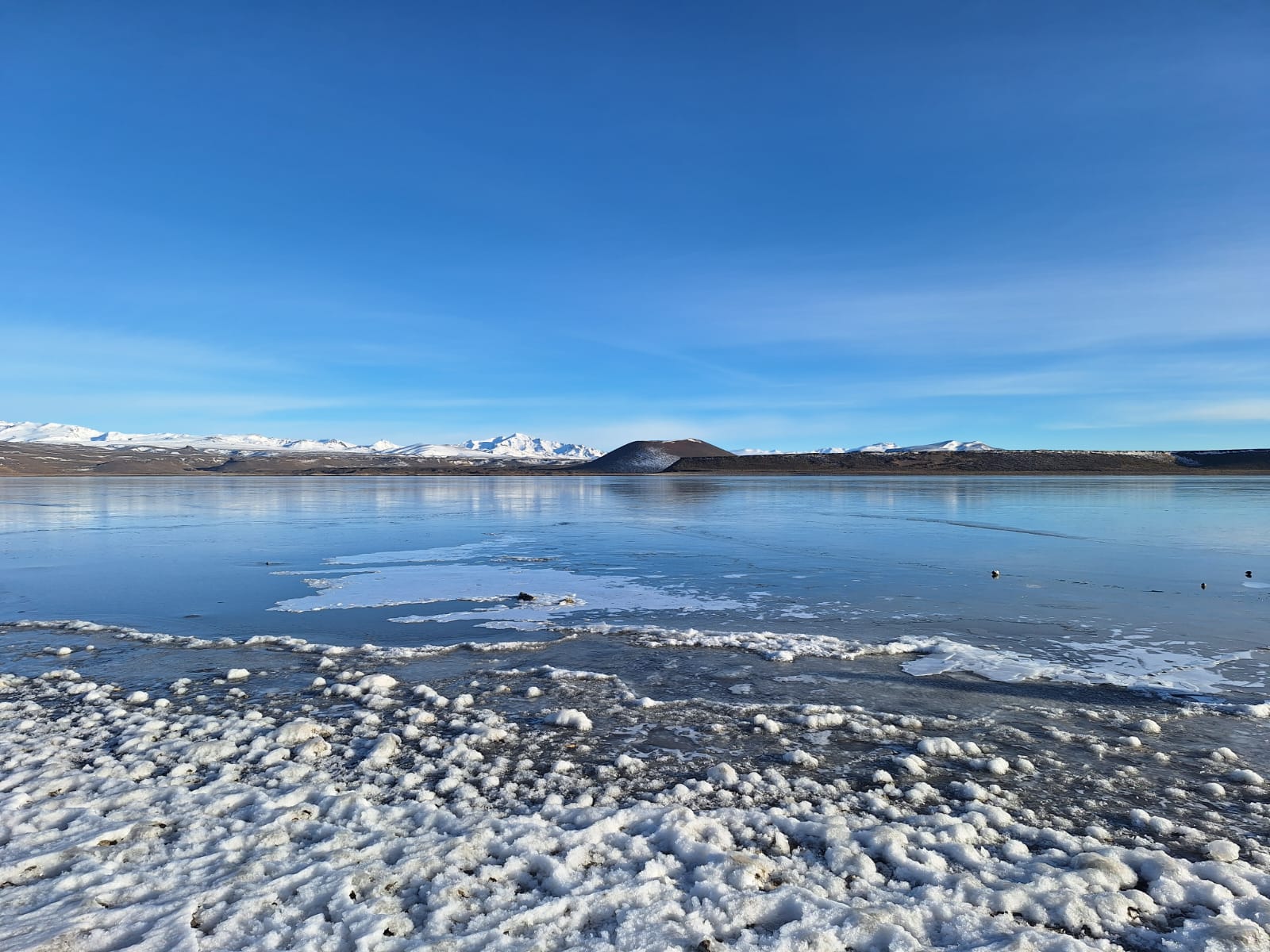 El parque nacional Laguna Blanca está ubicado al este de la Cordillera de los Andes. Foto: gentileza