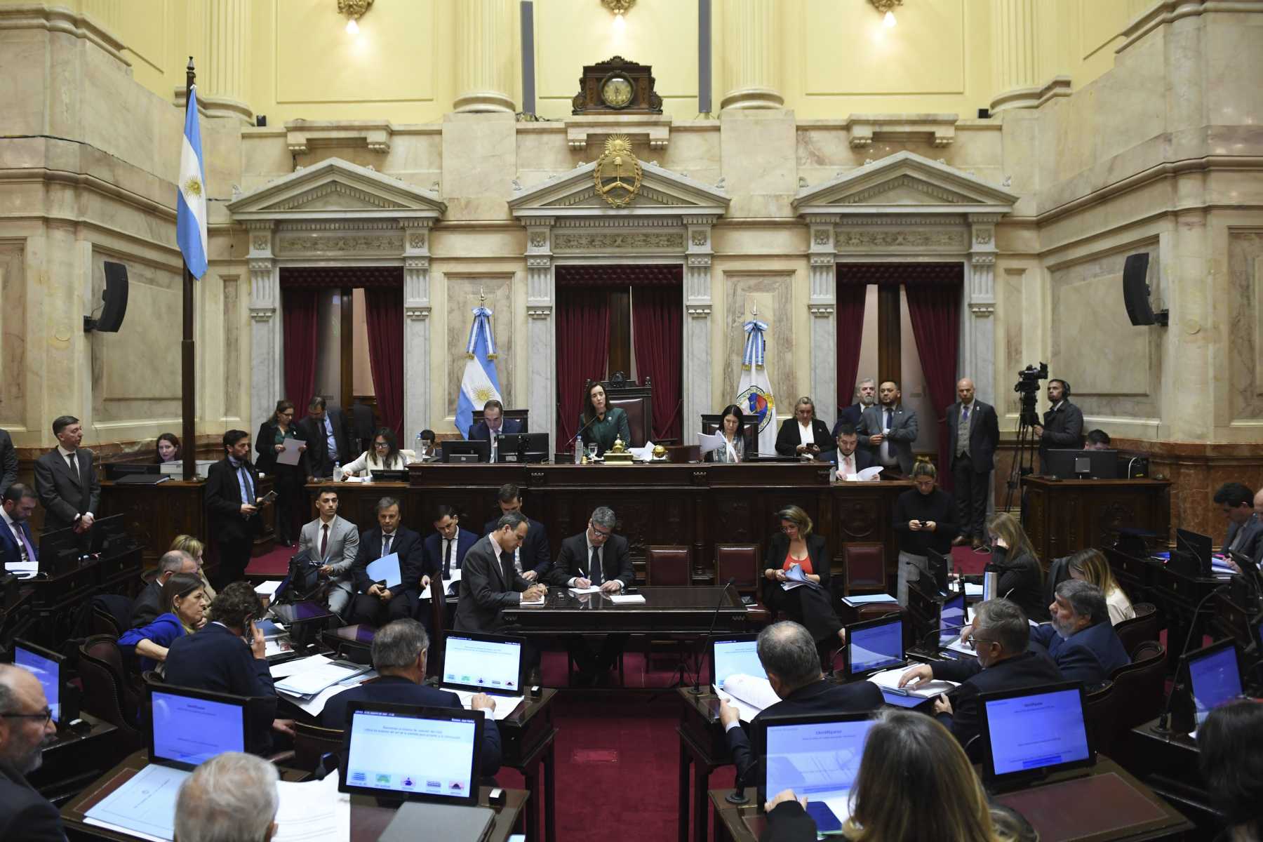 Los senadores aprobaron en junio pasado el RIGI. Foto: Archivo