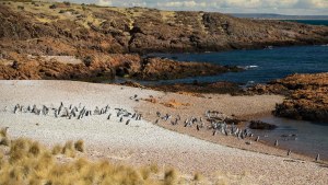 Cómo llegar a Cabo Dos Bahías y Camarones,  dos joyas de la Patagonia en la costa de Chubut