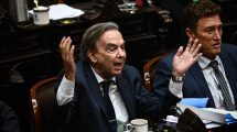 Imagen de Martín Menem se quejó del bloque de Miguel Pichetto, tras la caída de la sesión en Diputados: «Dolido»