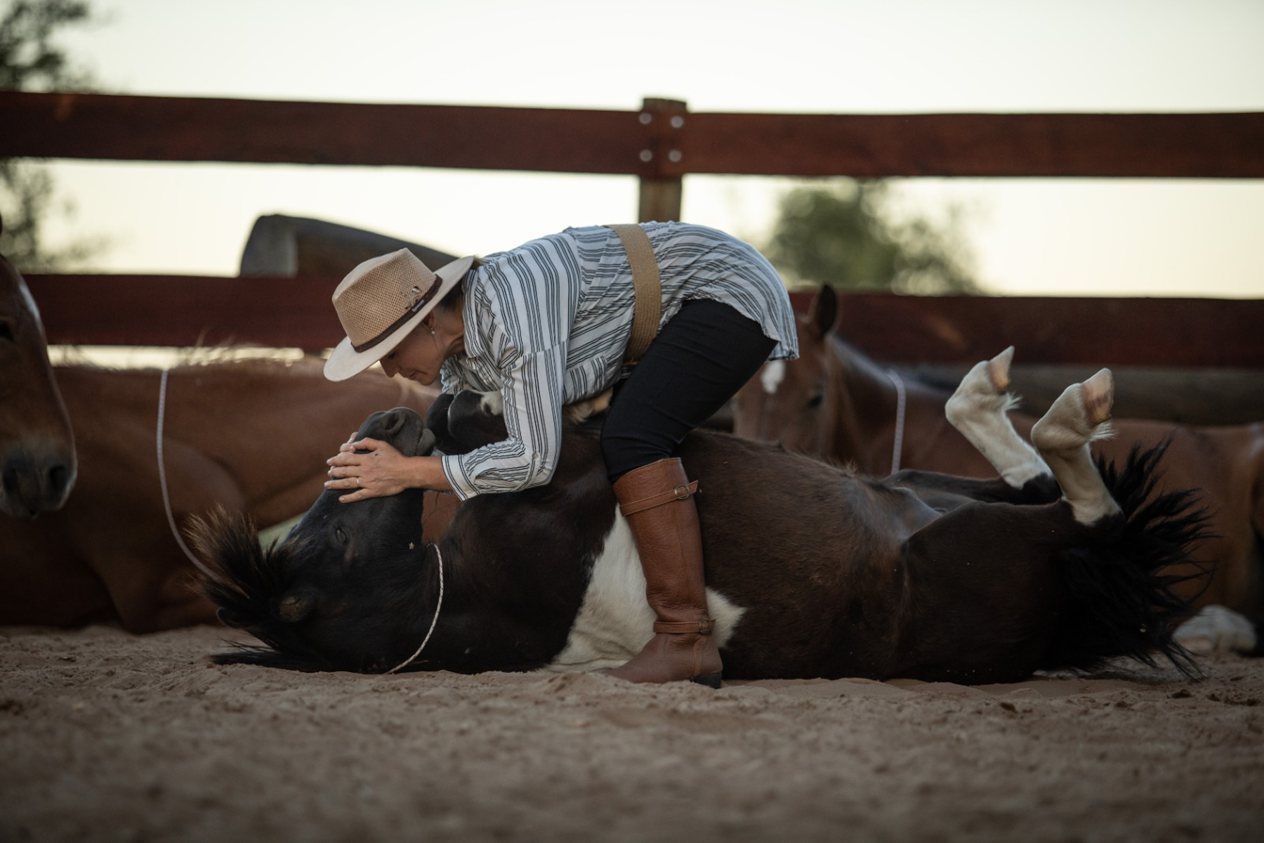 Los caballos están sueltos, no los tiene atados de ninguna forma. Fotos: @pablo_weg.