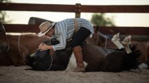 Imagen de La barilochense que ama los caballos, los adiestra en libertad y emocionó en La Rural de Buenos Aires