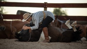 La barilochense que ama los caballos, los adiestra en libertad y emocionó en La Rural de Buenos Aires