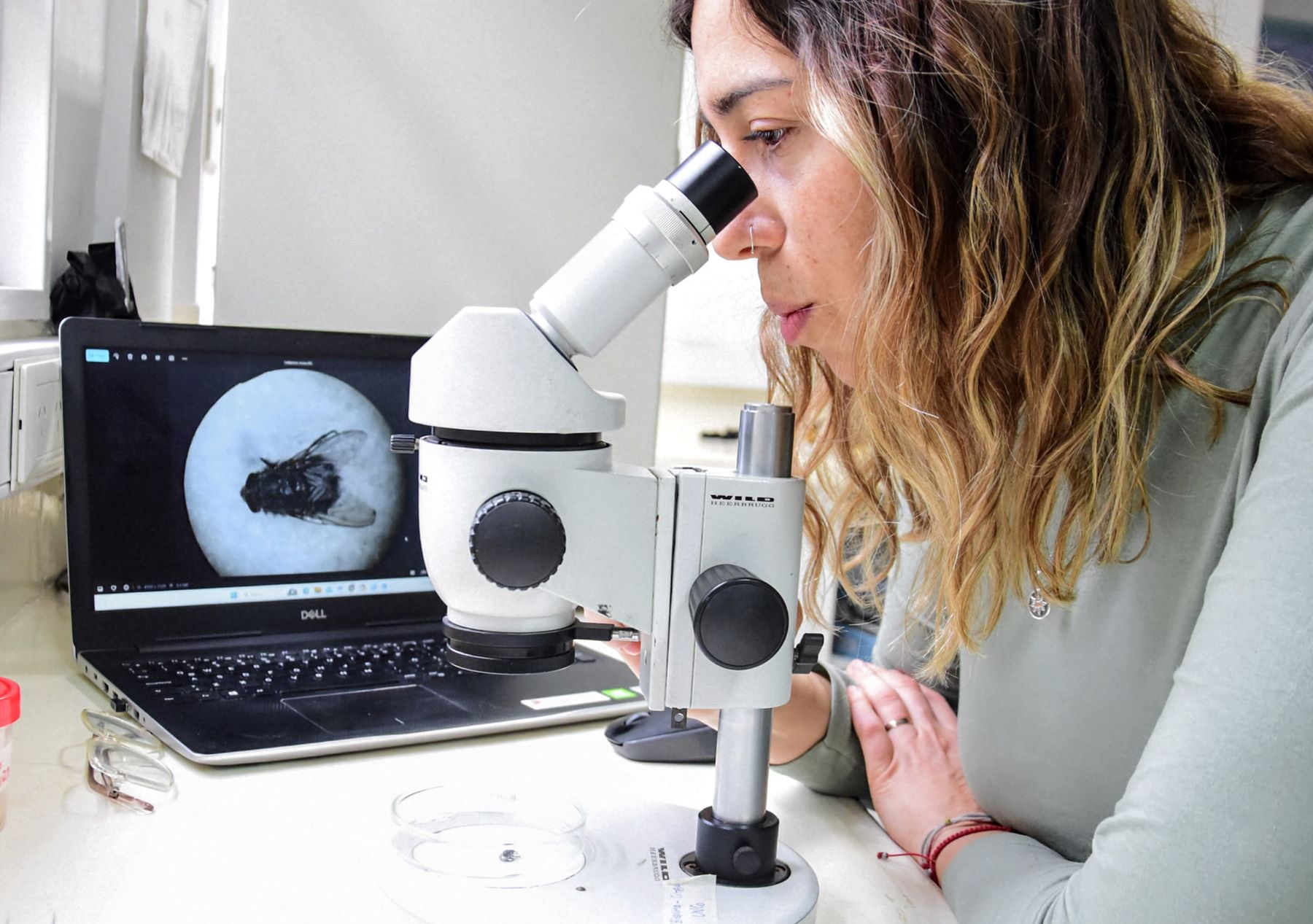 Ana Julia Pereira, una de la nueve entomólogo forense del país. Foto: Cecilia Maletti