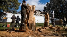 Imagen de Fiesta Nacional de la Nieve: esculpen figuras en rollizos de ciprés en Bariloche