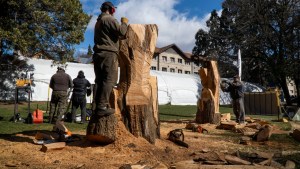 Fiesta Nacional de la Nieve: esculpen figuras en rollizos de ciprés en Bariloche