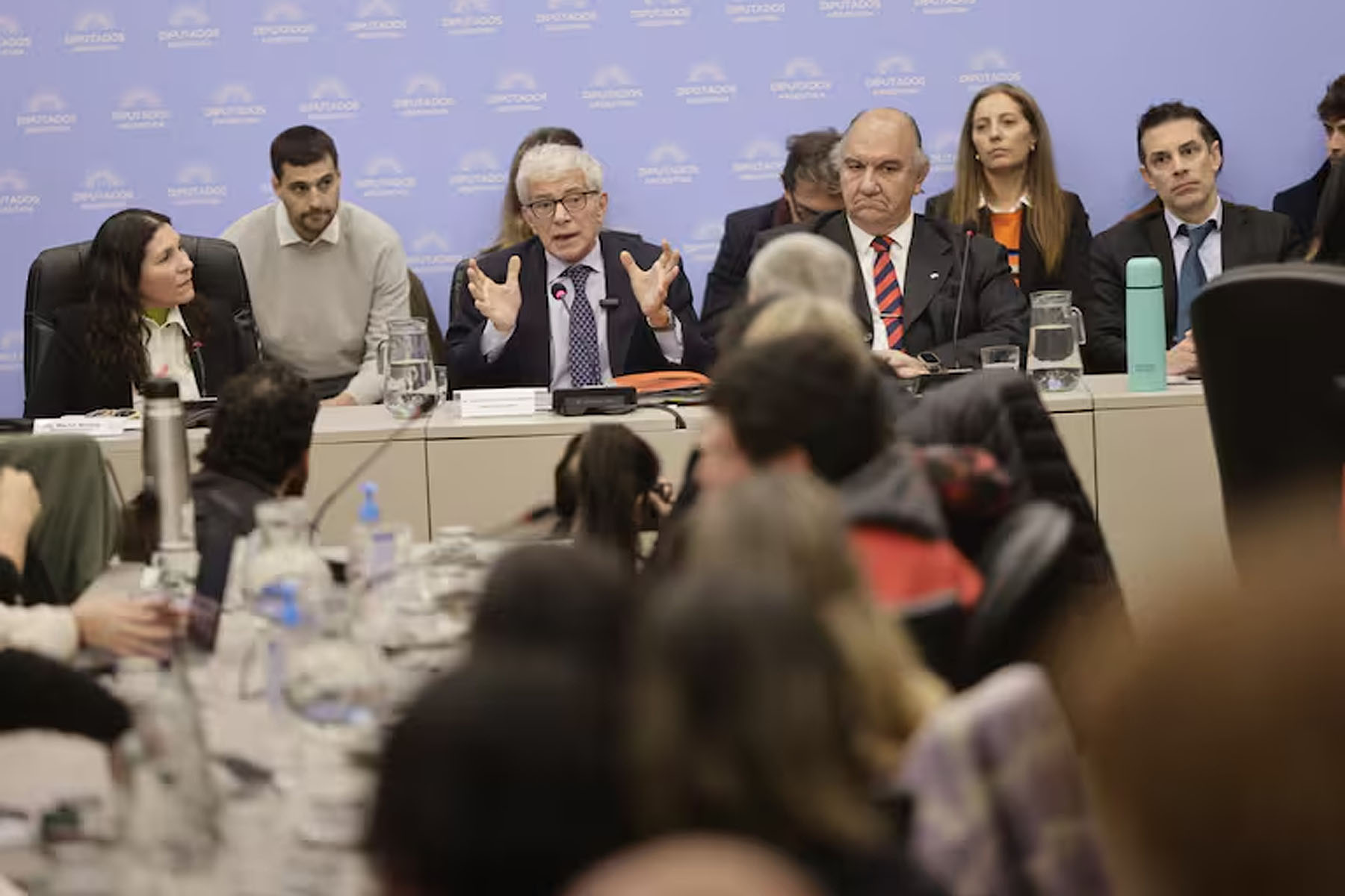 Cúneo Libarona en Diputados. 