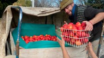 Imagen de Frutazo agroecológico en Neuquén: historia de un chacarero de tercera generación