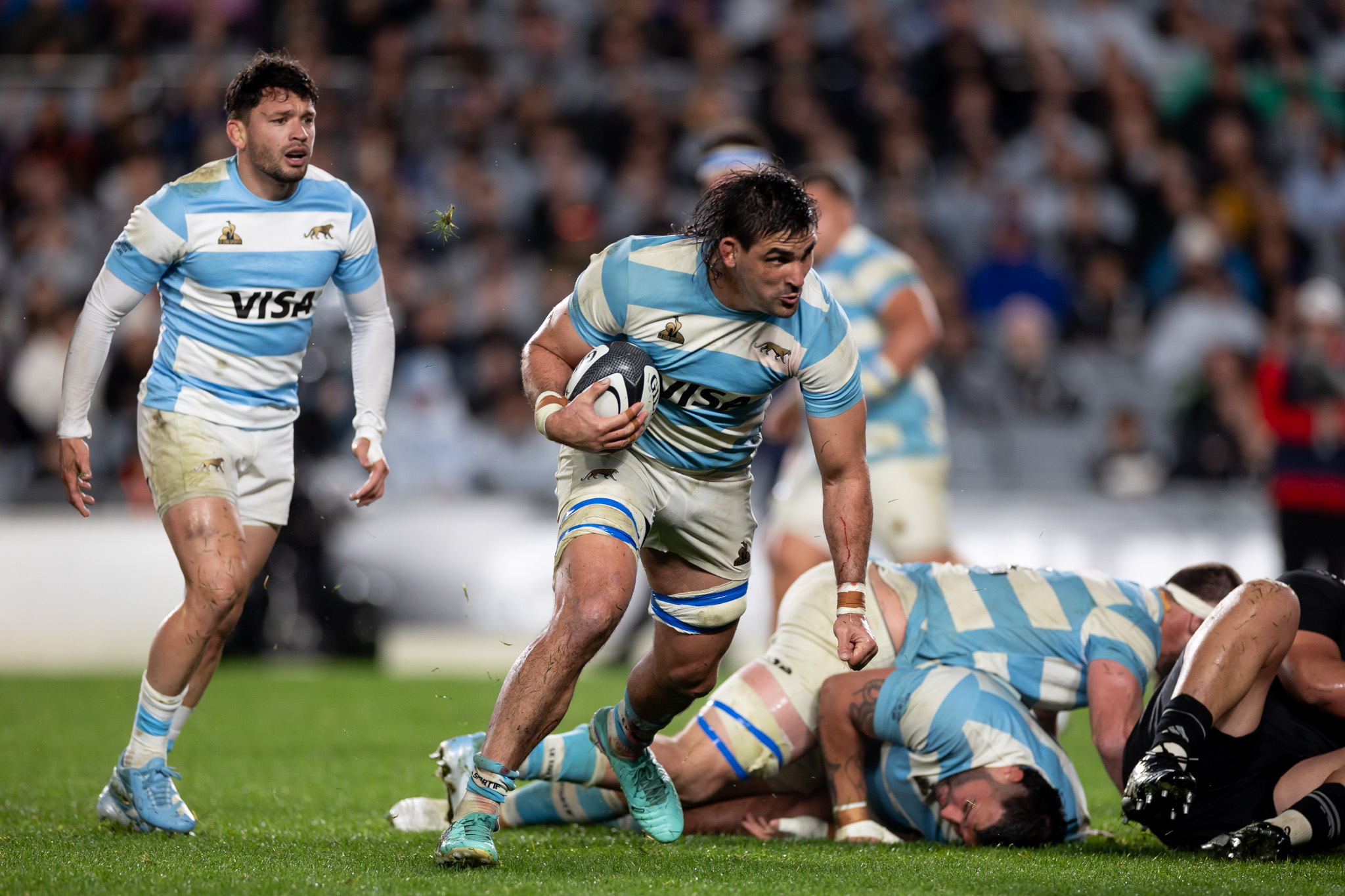 Pablo Matera estará en el quince inicial de Los Pumas ante Wallabies. 