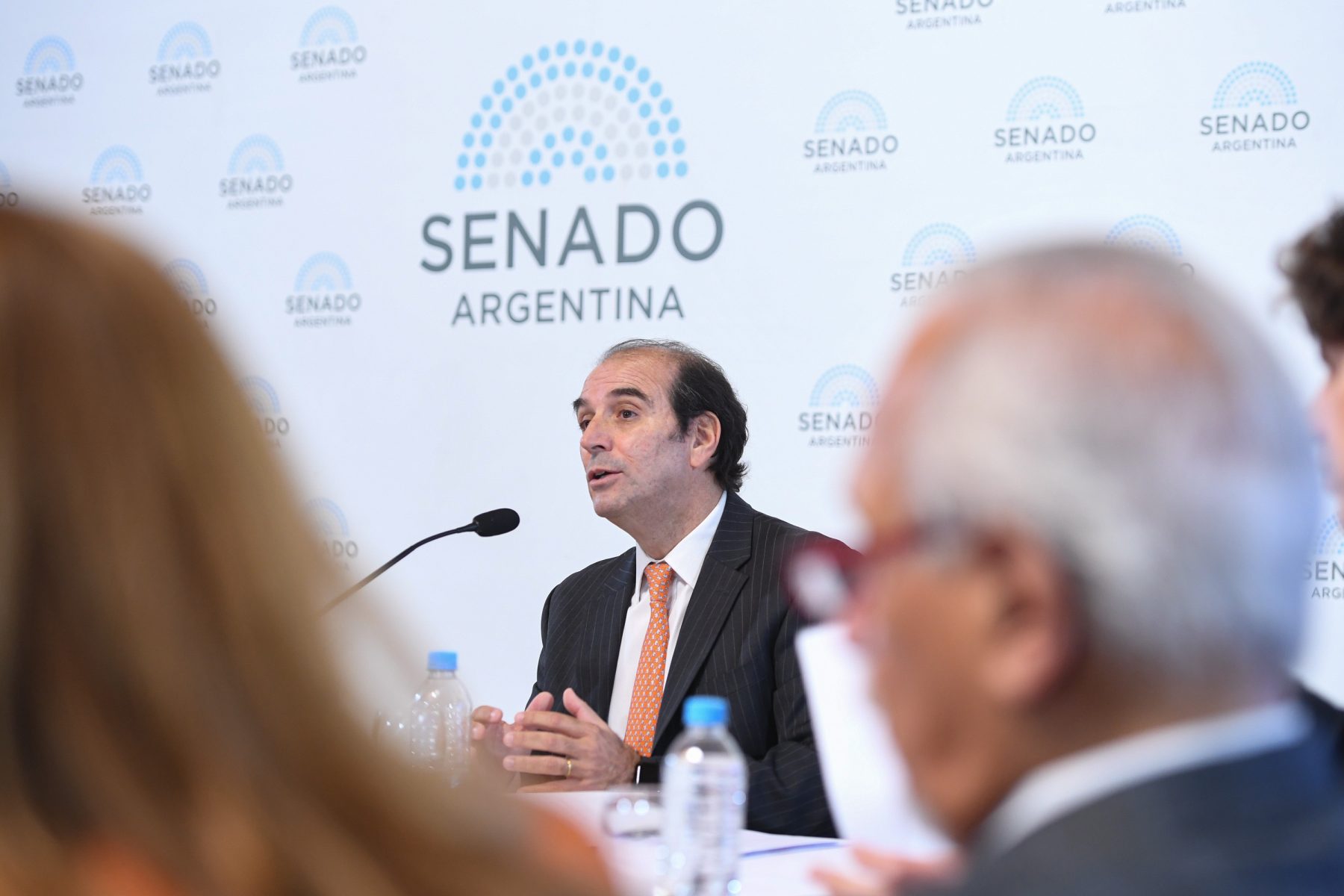 Manuel García Mansilla en el Senado.