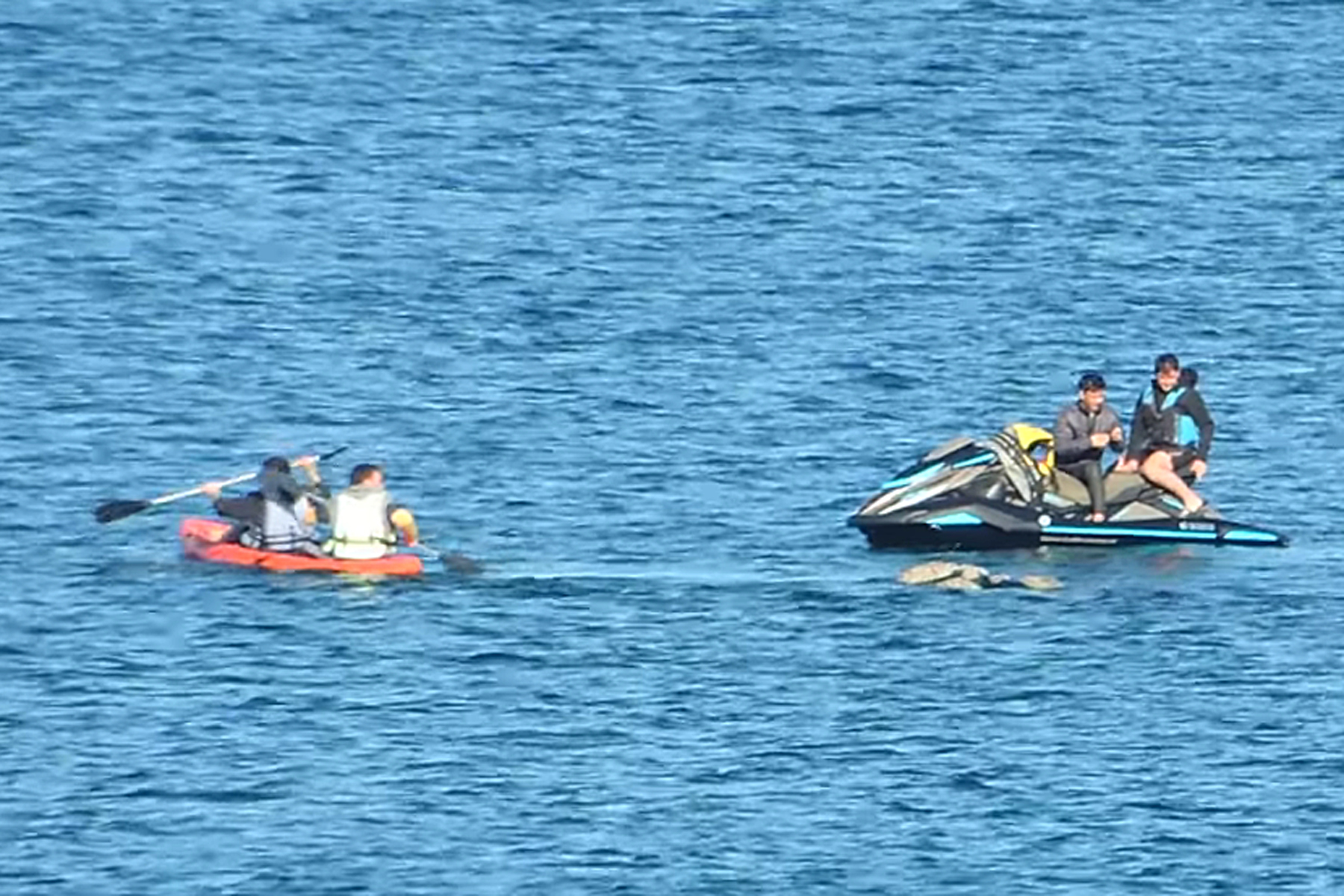 Muy cerca de una ballena franca. Se viralizó un video del mes de julio de este año que encendió la polémica sobre los protocolos que los particulares deben respetar al cruzarse con un cetáceo en áreas marinas recreativas