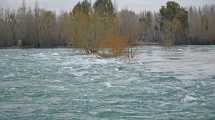 Imagen de Van a la Cámara Federal de Roca, con el decreto de Milei, por las hidroeléctricas de los ríos Limay y Neuquén