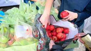 Último «Frutazo» del año en la Universidad del Comahue de Neuquén: siguen con ofertas a 1000 pesos el kilo