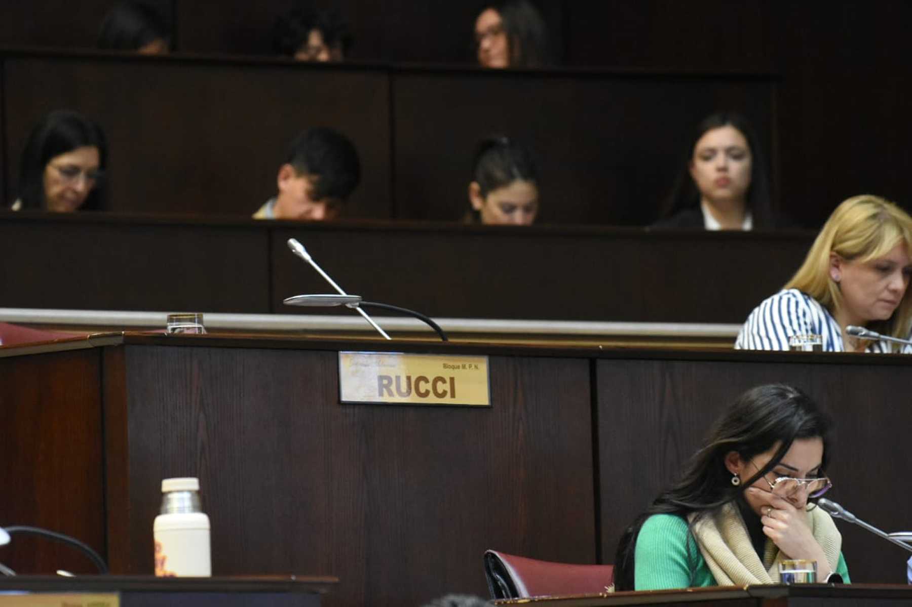 La Legislatura pasó a comisión el proyecto de Daniela Rucci para las comisiones híbridas. Foto: Matías Subat.