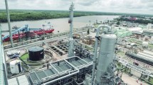 Imagen de Día de la industria petroquímica: «El gas de Vaca Muerta traerá una nueva ola de desarrollo»