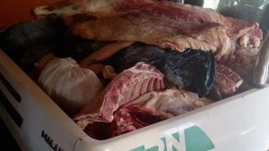 Decomisaron más de 2000 kilos de carne en comercios de Lamarque y Luis Beltrán